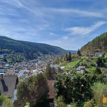 Ferienwohnung Panoramablick 바드윌드바드 외부 사진