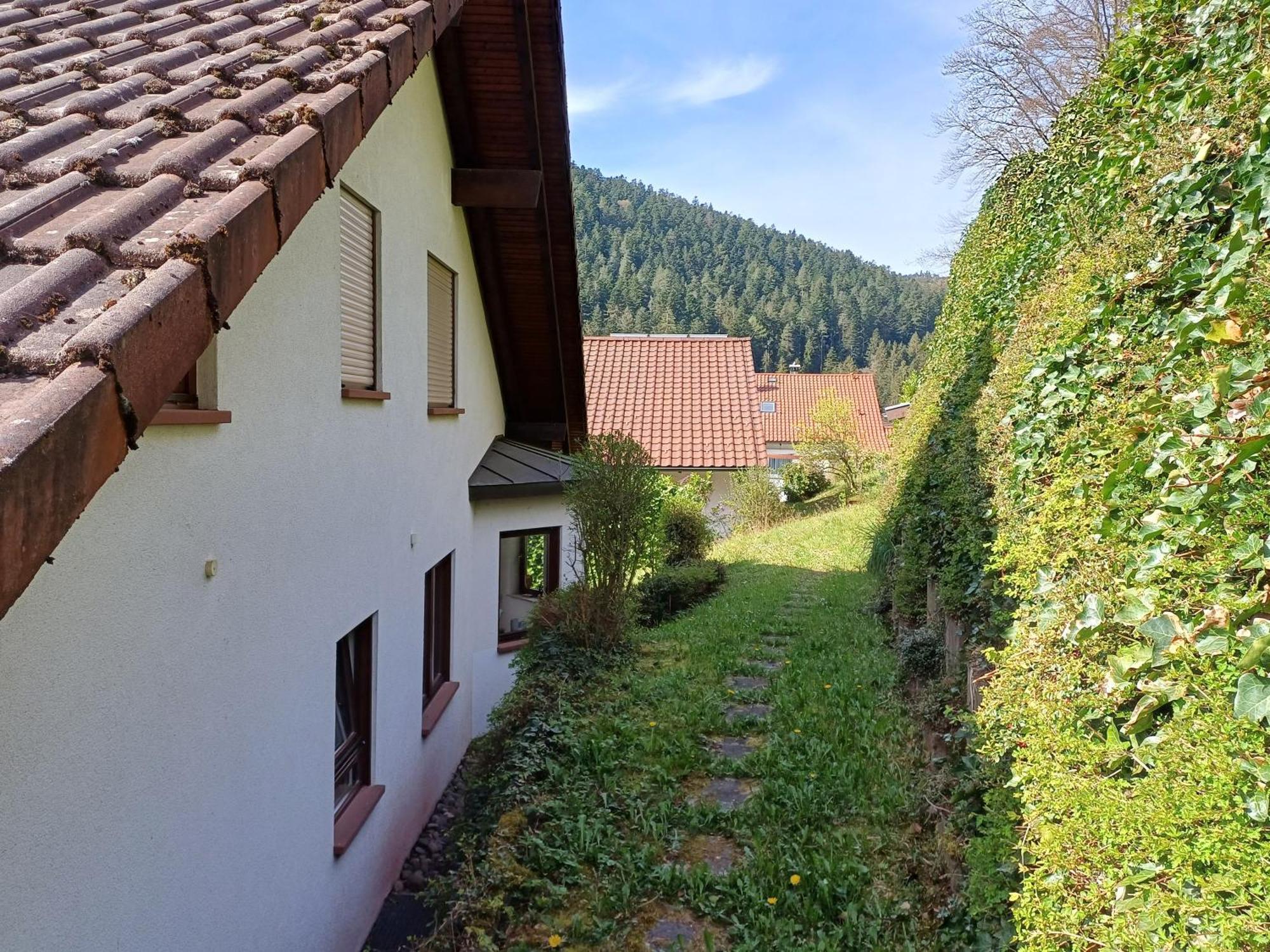 Ferienwohnung Panoramablick 바드윌드바드 외부 사진