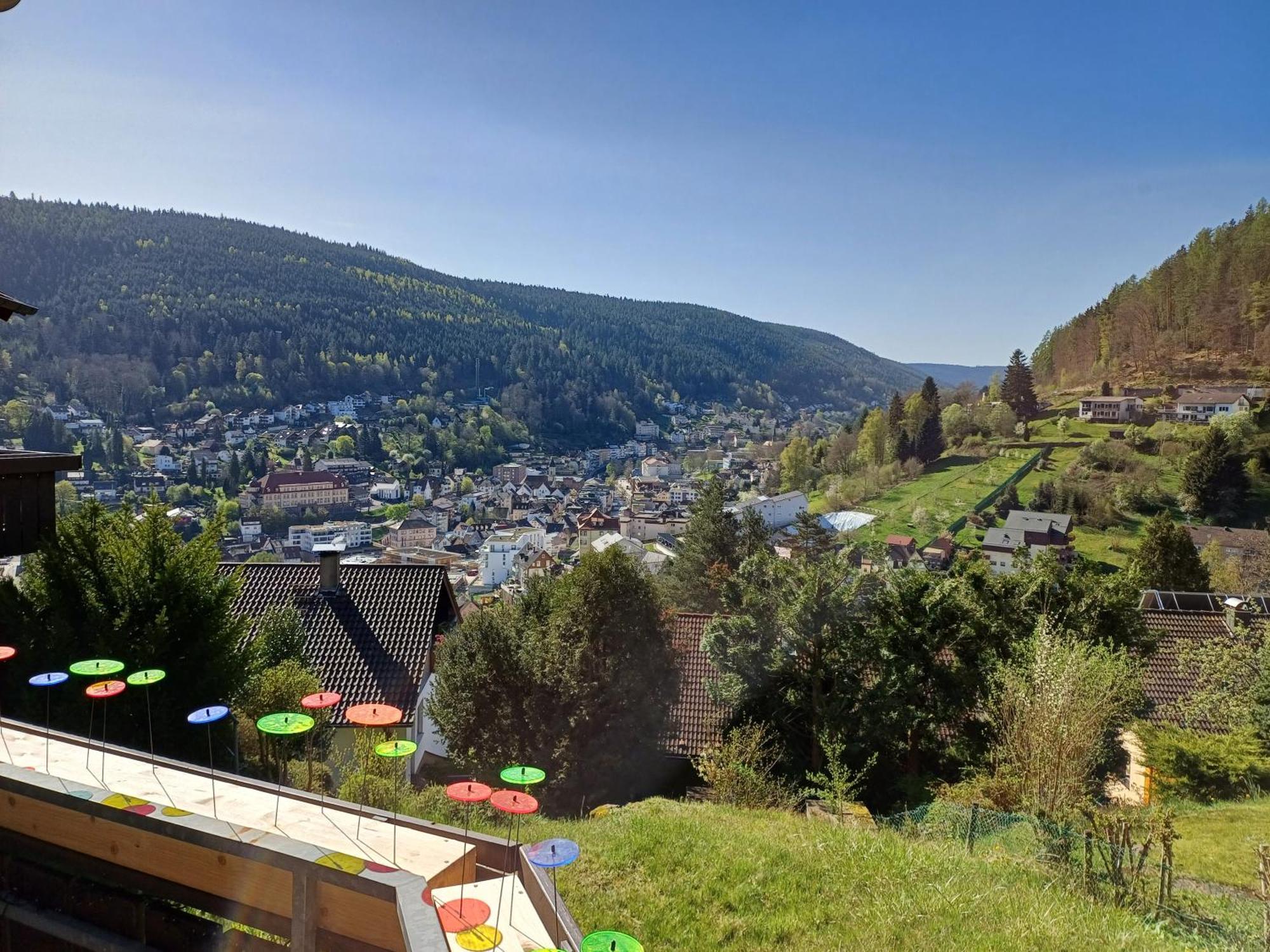 Ferienwohnung Panoramablick 바드윌드바드 외부 사진