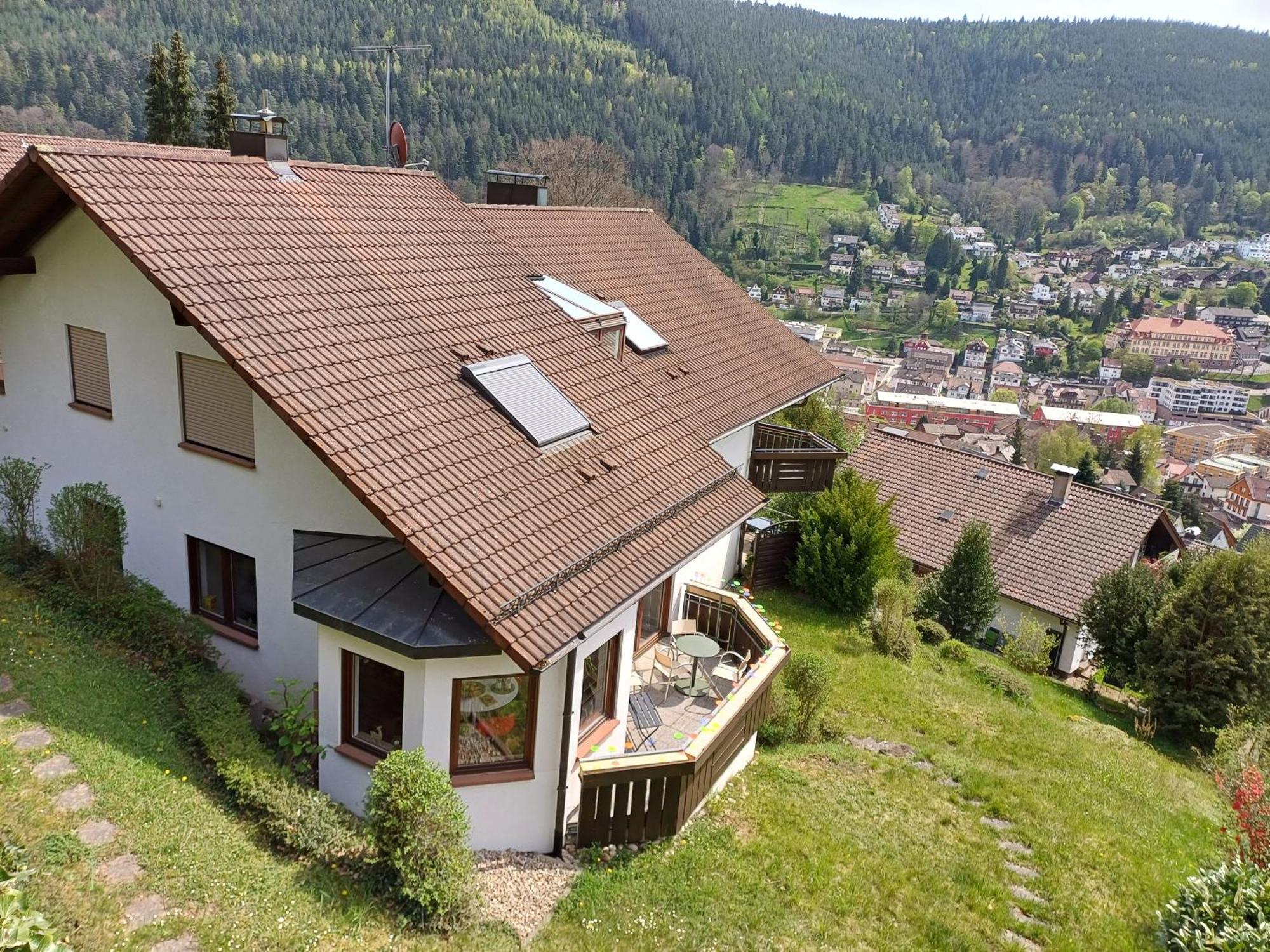 Ferienwohnung Panoramablick 바드윌드바드 외부 사진